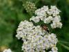 360650 – Photo : Yoann Bunz – France (05)